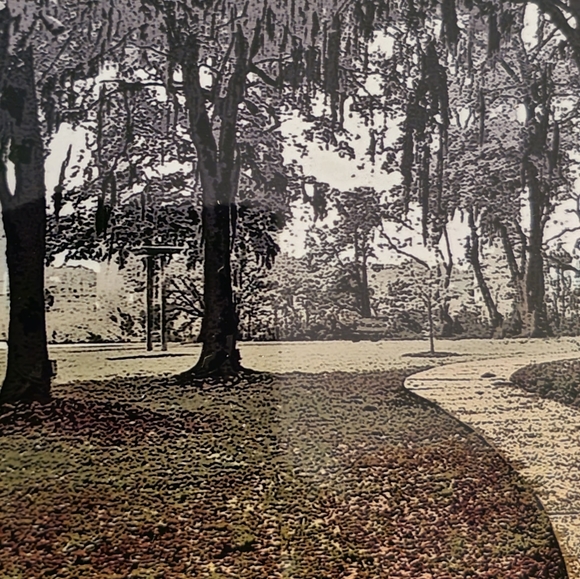 Golden Pathway - Picture 1 of 5